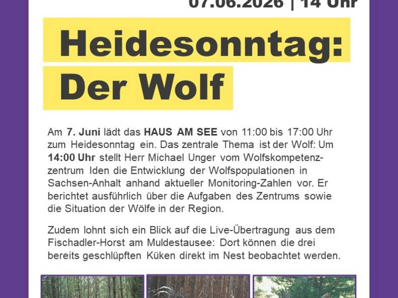 HS Wolf_JV.jpg